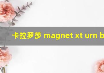 卡拉罗莎 magnet xt urn btih